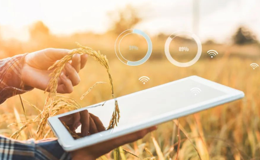 糧食數(shù)字化平臺(tái)